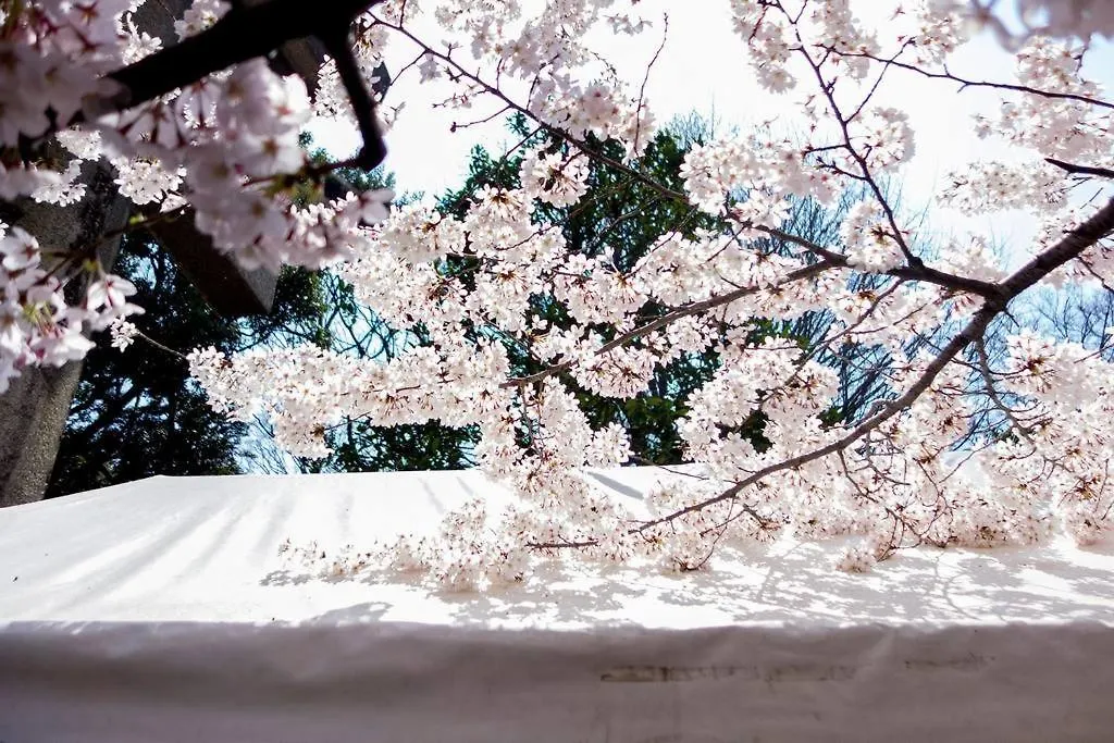 寅ホテル 台東 Hotel 寅 台东 Tora Hotel Taito A Tokyo Japan